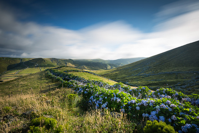 isla-de-las-flores